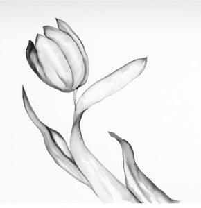 1 Tulip   Black & White