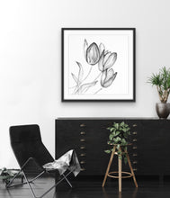3 Tulips  Black & White
